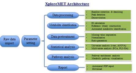 代謝組學數據分析的數據處理服務